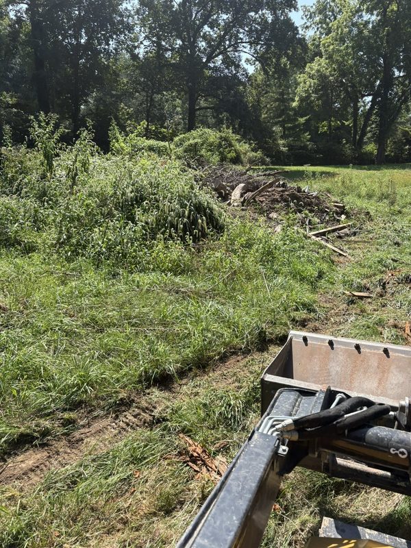 Lot clearing, a real J.E. Ward job